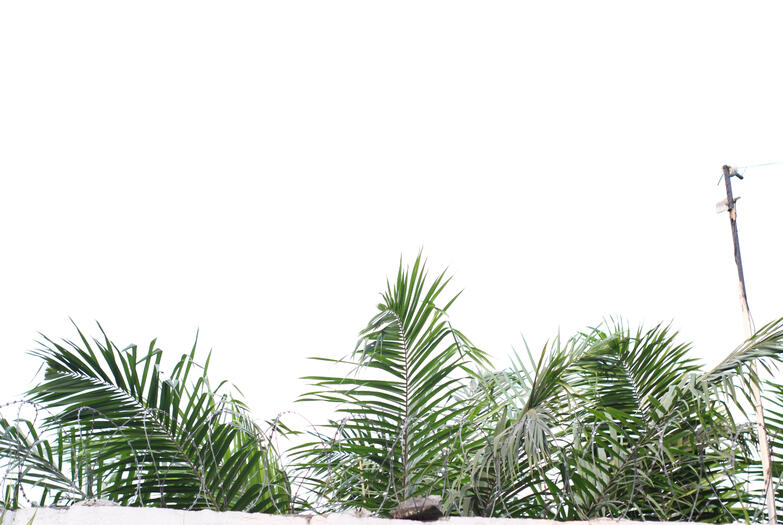 Kinshasa - Candide U